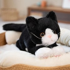 Cute 53cm Realistic Kitten