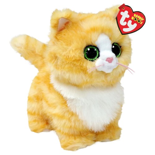 Melanie tabby cat - melanie,