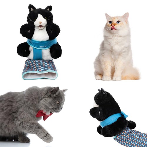 Cats wrestler hand puppet - wrestler,