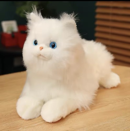 Persian cat plush - plush, toy