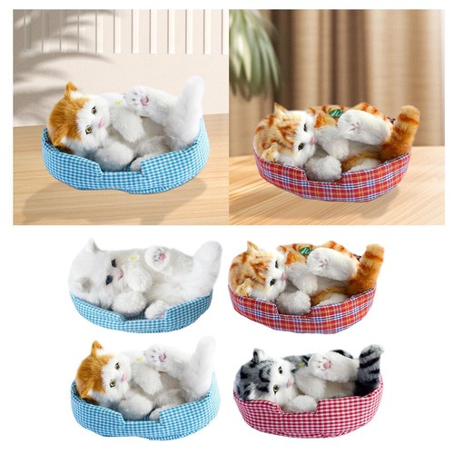 Interactive plush cat toy for - plush,
