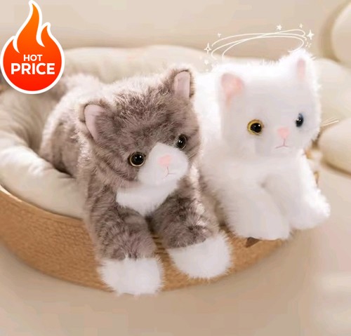 Cute realistic kitten - cute,